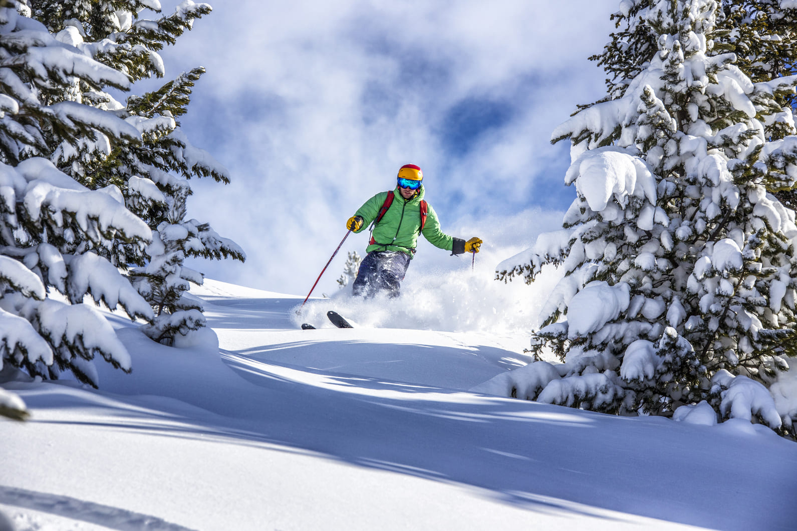 Ppo Skiing